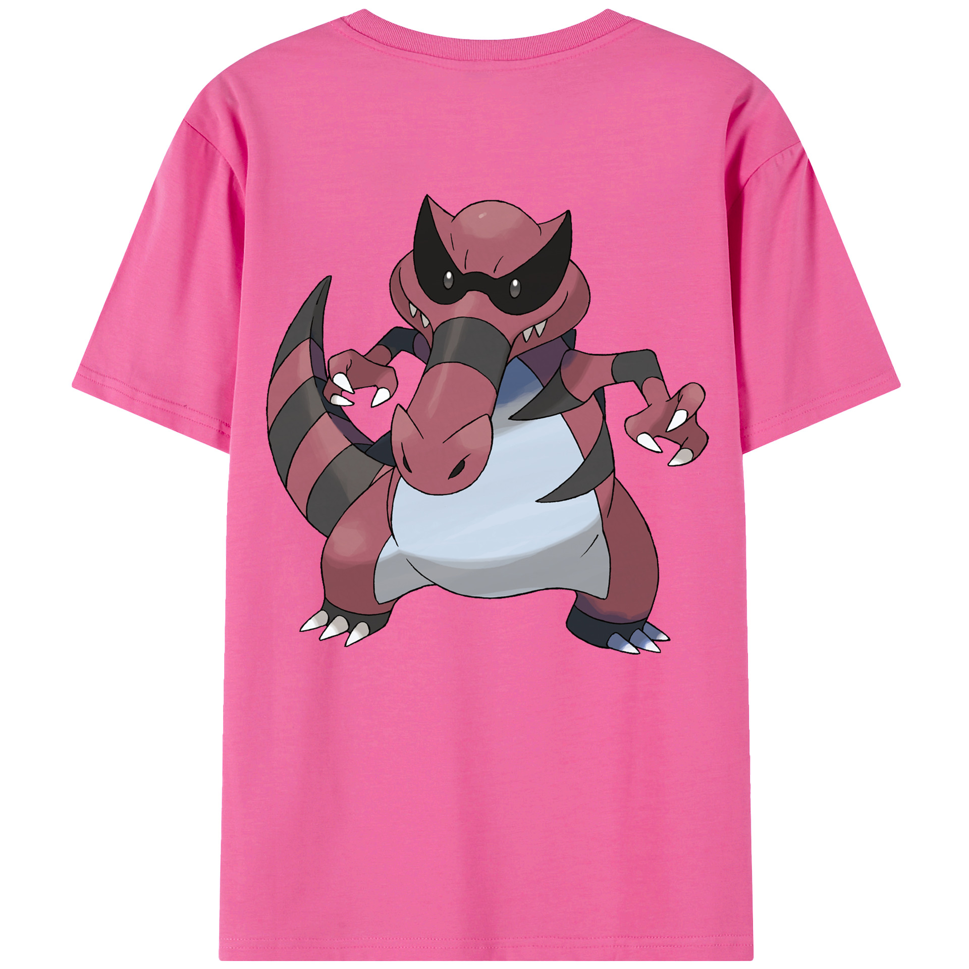 （画像用） ポケットモンスター Pokémon レディース半袖Tシャツ(バックプリント)